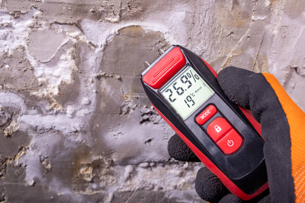 Professional Mold Removal in Bel Air South, MD