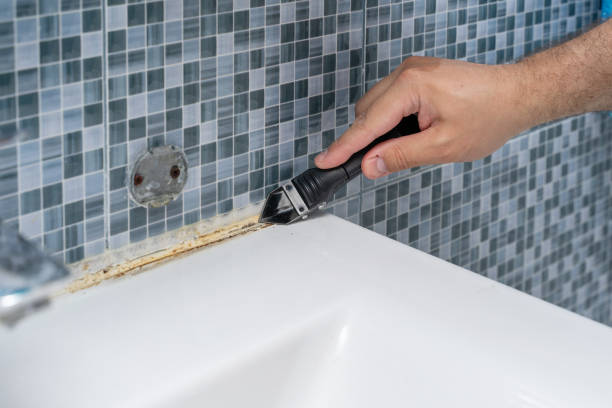 Best Mold Remediation  in Bel Air South, MD