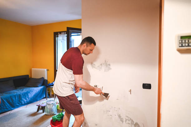Best Mold Removal Company Near Me  in Bel Air South, MD